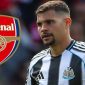 Arsenal Gerak Cepat, Bruno Guimaraes Masuk Daftar Incaran (Foto: TEAMtalk)