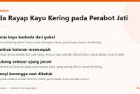 Infografis: Tanda Rayap Kayu Kering pada Perabot Jati