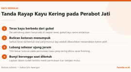 Infografis: Tanda Rayap Kayu Kering pada Perabot Jati